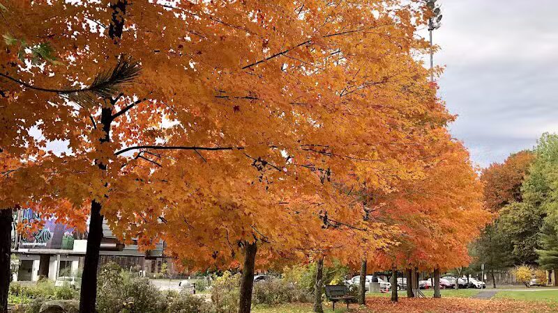 North Adams Dog Park - North Adams,