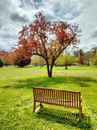 North Andover Town Common - North Andover, MA