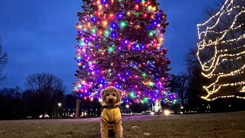North Andover Town Common - North Andover, MA
