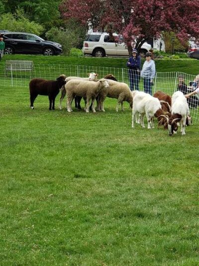 North Andover Town Common - North Andover, MA