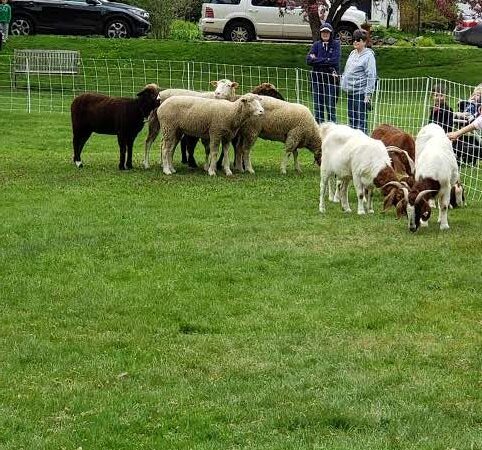 North Andover Town Common - North Andover, MA