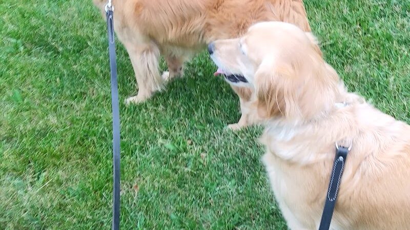 North Andover Town Common - North Andover, MA