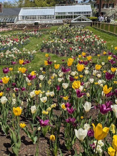 North Andover Town Common - North Andover, MA