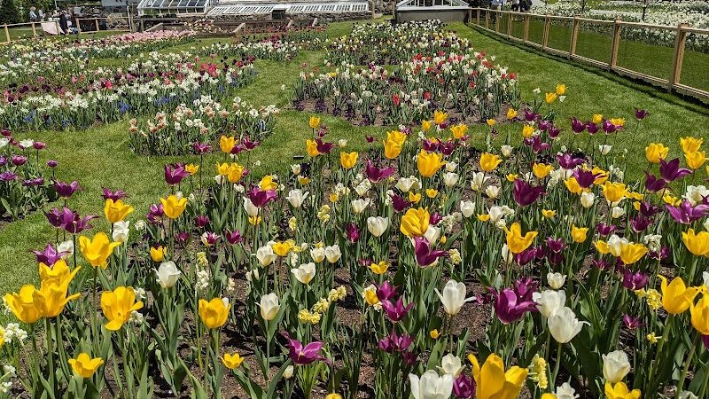 North Andover Town Common - North Andover, MA