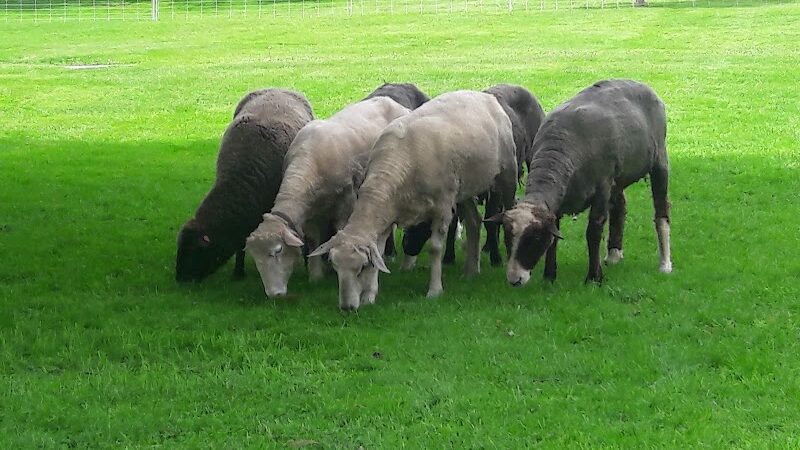 North Andover Town Common - North Andover, MA