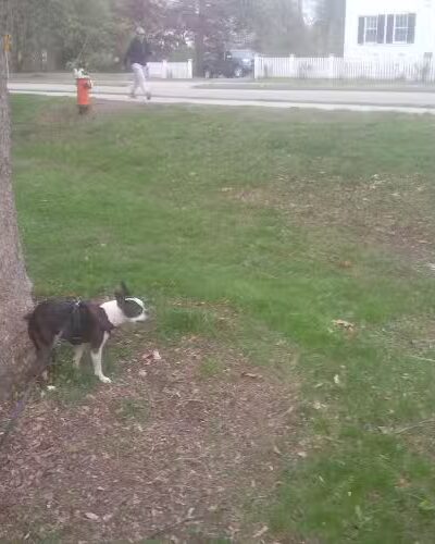 North Andover Town Common - North Andover, MA