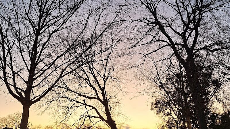 Boeckh Park - North Augusta, SC