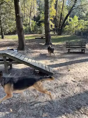 North Augusta Bark Park - North Augusta, SC