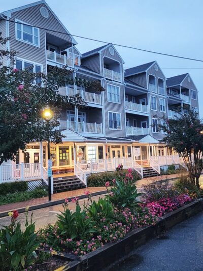 Cold Penguin Ice Cream - North Beach, MD