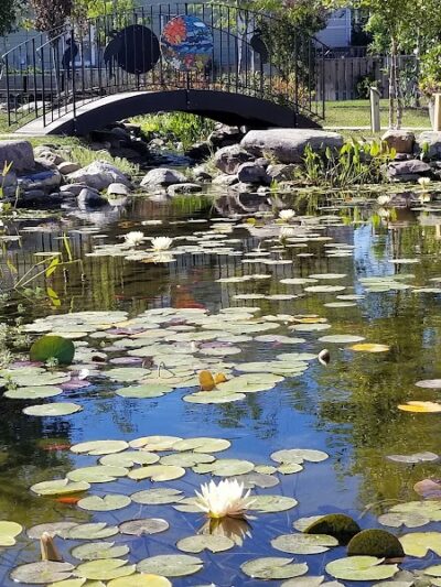 Mark R. Frazer Sunrise Garden - North Beach, MD