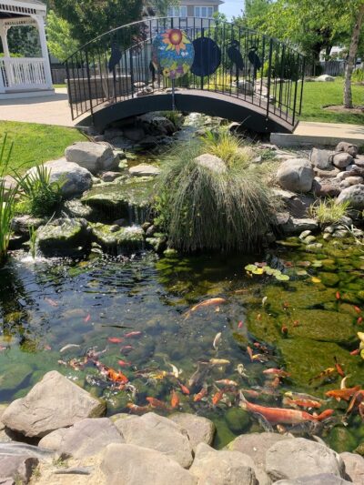 Mark R. Frazer Sunrise Garden - North Beach, MD