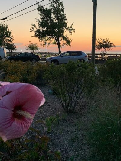 Mark R. Frazer Sunrise Garden - North Beach, MD