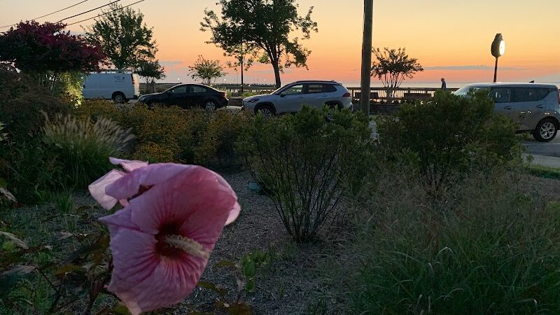 Mark R. Frazer Sunrise Garden - North Beach, MD