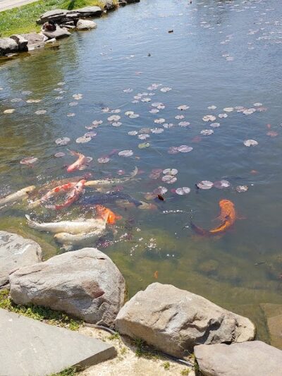 North Beach Boardwalk/Beach - North Beach, MD