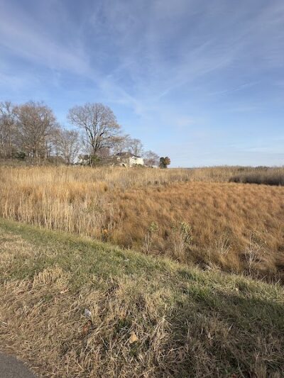 Walton Beach Nature Preserve - North Beach, MD
