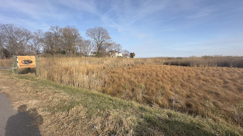 Walton Beach Nature Preserve - North Beach, MD