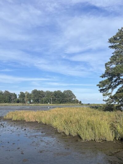 Wetlands Overlook Park - North Beach, MD