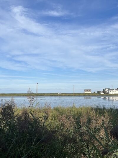 Wetlands Overlook Park - North Beach, MD