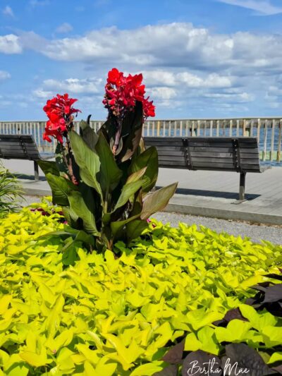 North Beach Boardwalk/Beach - North Beach, MD
