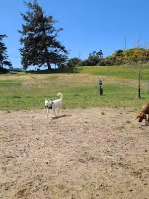 Dog-Park - North Bend, OR