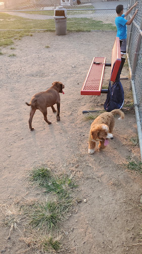 Dog Park - North Bergen, NJ