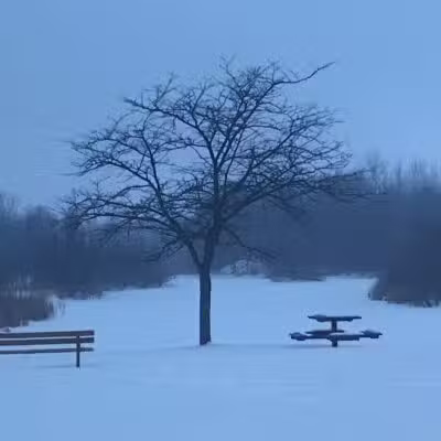 Checkerboard Dog Park - North Branch,