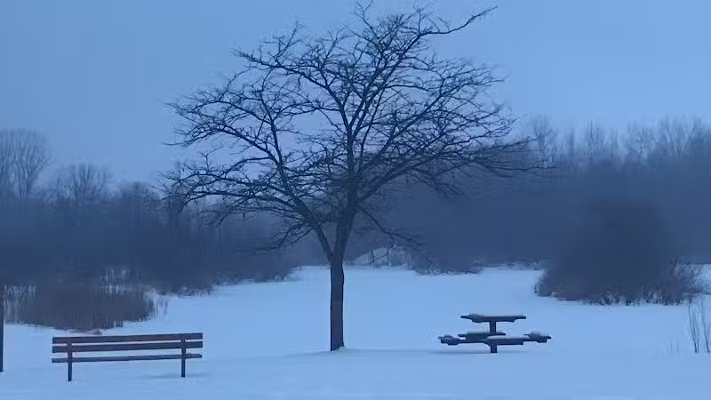 Checkerboard Dog Park - North Branch,