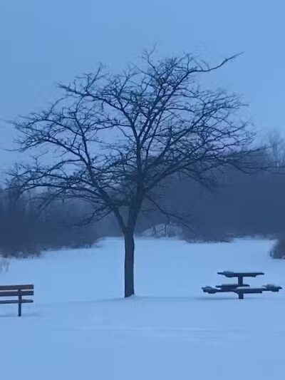 Checkerboard Dog Park - North Branch,