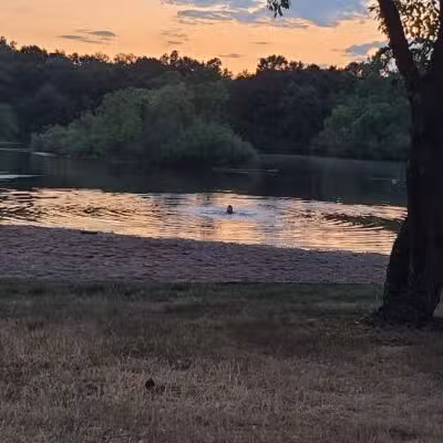 Checkerboard Dog Park - North Branch,