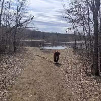 Checkerboard Dog Park - North Branch,