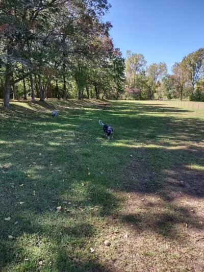 Checkerboard Dog Park - North Branch,