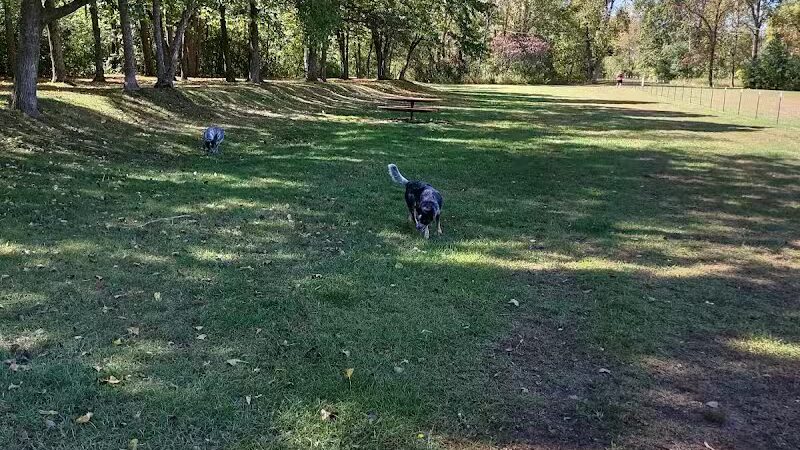 Checkerboard Dog Park - North Branch,