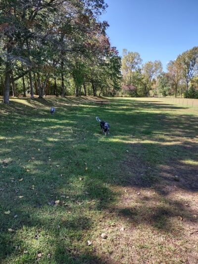 Checkerboard Dog Park - North Branch, MN