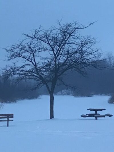 Checkerboard Dog Park - North Branch, MN