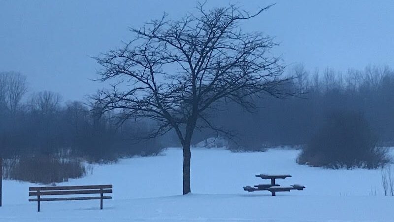 Checkerboard Dog Park - North Branch, MN