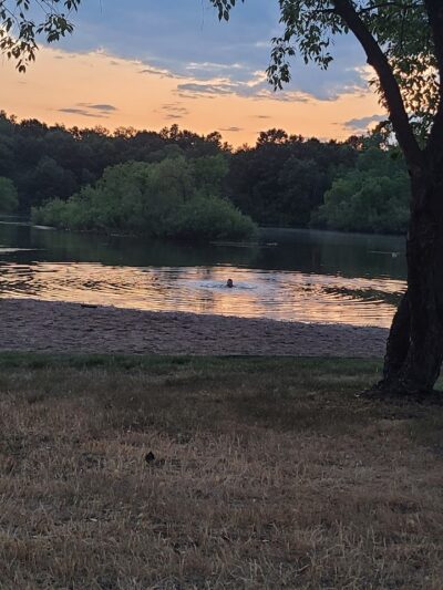 Checkerboard Dog Park - North Branch, MN
