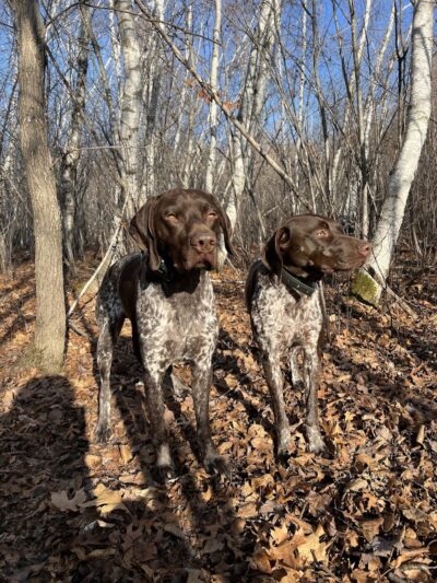 Checkerboard Dog Park - North Branch, MN