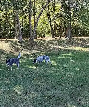 Checkerboard Dog Park - North Branch, MN