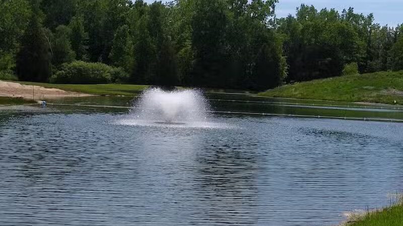 Sutter's Recreation Area - North Branch,