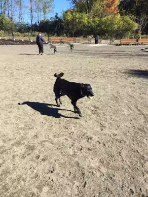 Hilltop Reservation Dog Park - North Caldwell, NJ