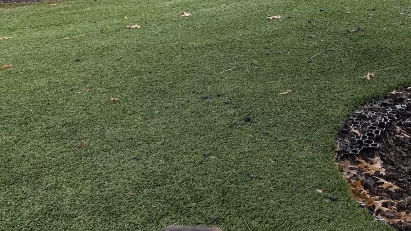 Mixson Avenue Dog Park - North Charleston, SC