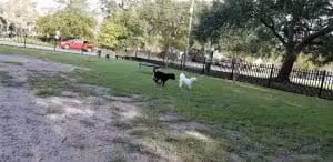 Mixson Avenue Dog Park - North Charleston, SC