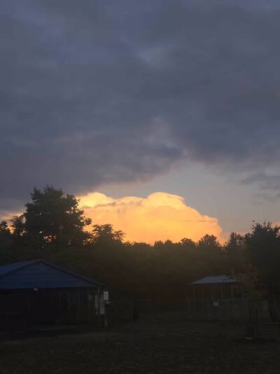 Chelmsford Dog Park - North Chelmsford, MA