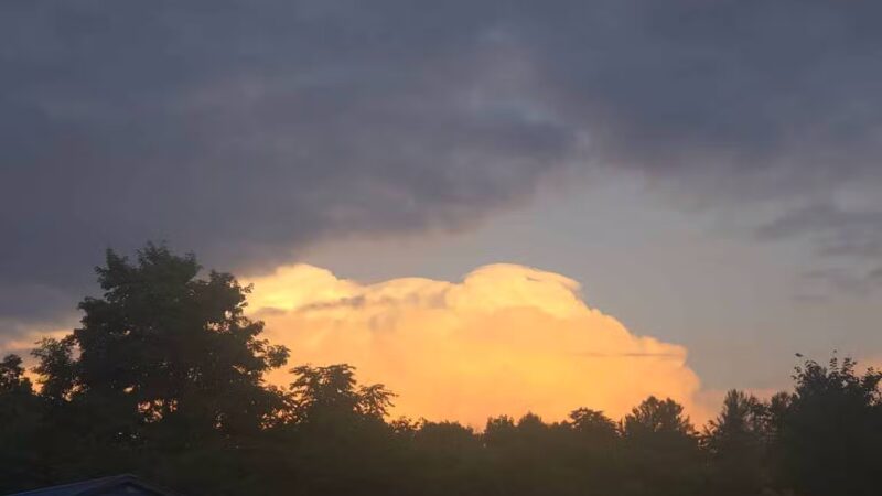 Chelmsford Dog Park - North Chelmsford, MA