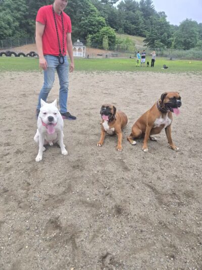 Chelmsford Dog Park - North Chelmsford, MA