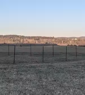 Monkton Community Dog Park - North Ferrisburgh, VT