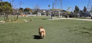 Whitnall Off Leash Dog Park - North Hollywood, CA