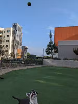 Dog Park at NOHO West - North Hollywood, CA