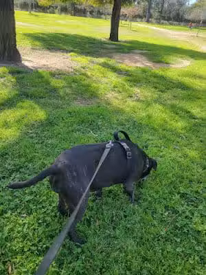 North Hollywood Park - North Hollywood, CA