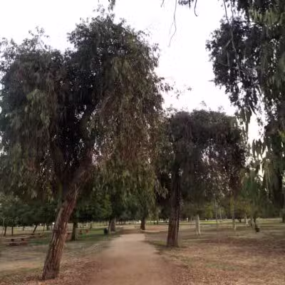 North Hollywood Park - North Hollywood, CA